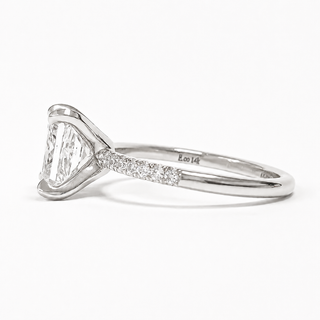 Princess Cut Pavé Ring – Lab Grown Diamond – 14K/18K White Gold – 14 Side Stones