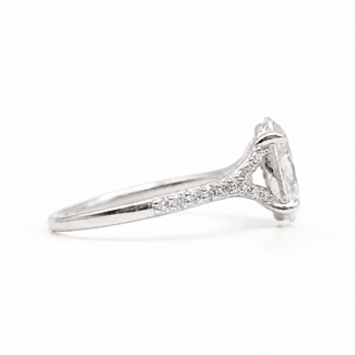 Oval Brilliant Split Pavé Ring – Lab Grown Diamond – 14K/18K White Gold – 24 Side Stones