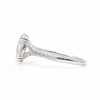 Oval Brilliant Split Pavé Ring – Lab Grown Diamond – 14K/18K White Gold – 24 Side Stones