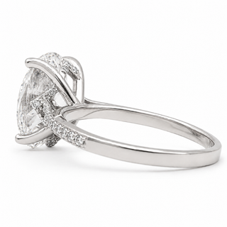 Oval Brilliant Split Pavé Ring – Lab Grown Diamond – 14K/18K White Gold – 36 Side Stones