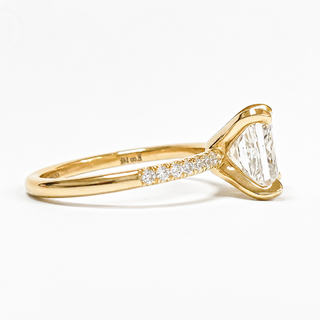 Princess Cut Pavé Ring – Lab Grown Diamond – 14K/18K Yellow Gold – 14 Side Stones