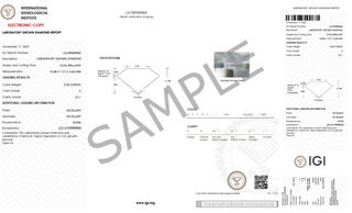 Oval Brilliant – Lab Grown Diamond – 14K/18K Yellow Gold – Solitaire Necklace