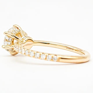 Round Brilliant 6 Prong Pavé Ring – Lab Grown Diamond – 14K/18K Yellow Gold – 46 Side Stones